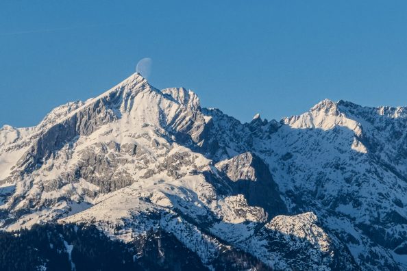 Random photos from the past two weeks