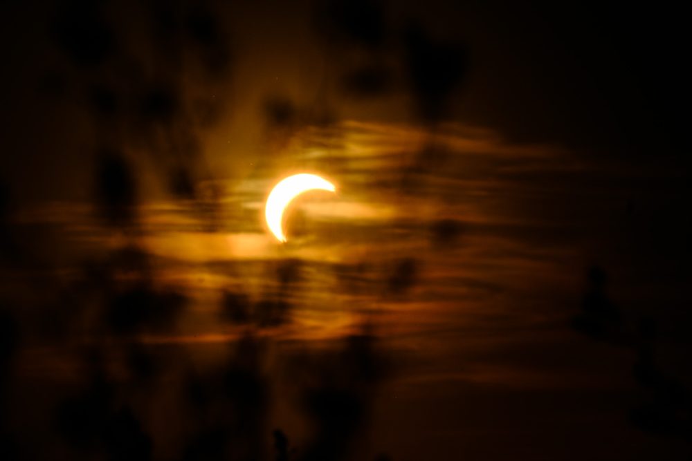 Crescent of the partially eclipsed sun glowing through blurred leaves, August 2026