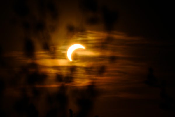 Crescent of the partially eclipsed sun glowing through blurred leaves, August 2026