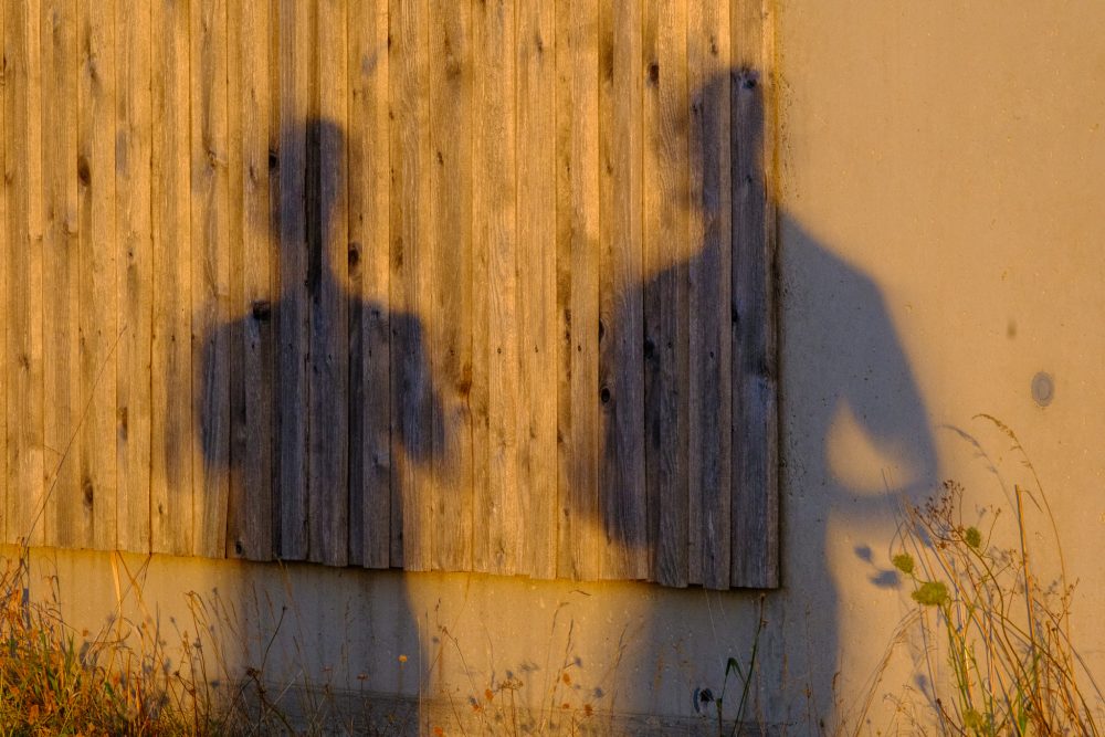 Two people's shadows on a wooden wall in the strange, warm light of the eclipse