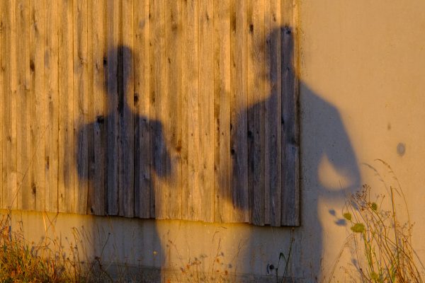 Two people's shadows on a wooden wall in the strange, warm light of the eclipse