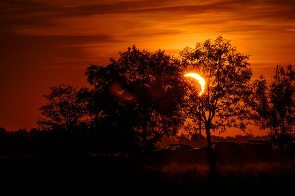 Eclipsed crescent sun setting behind silhouetted trees in Bavaria